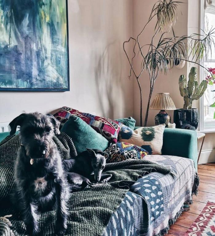 Two dogs sitting on a sofa with house plants and lamp on the side table in the background.